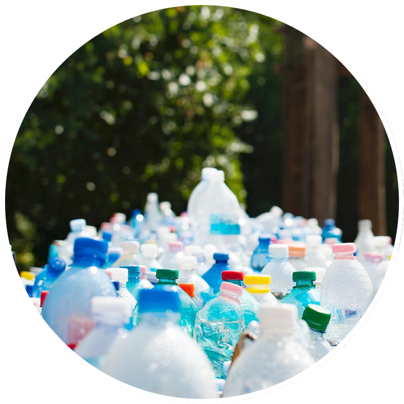 Las botellas de plástico se quitan las tapas y etiquetas y se limpian.